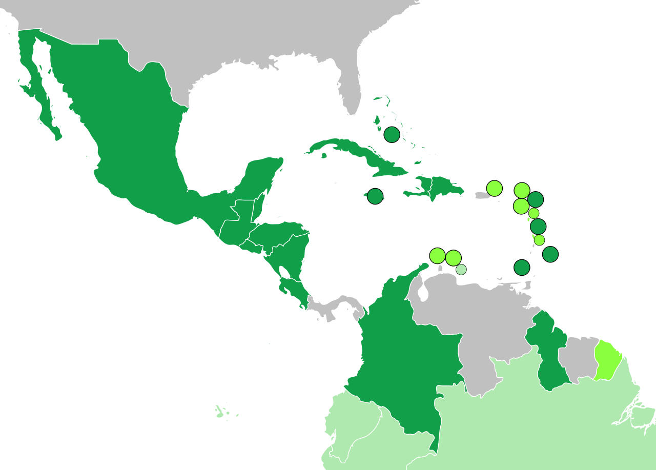 The Caribbean